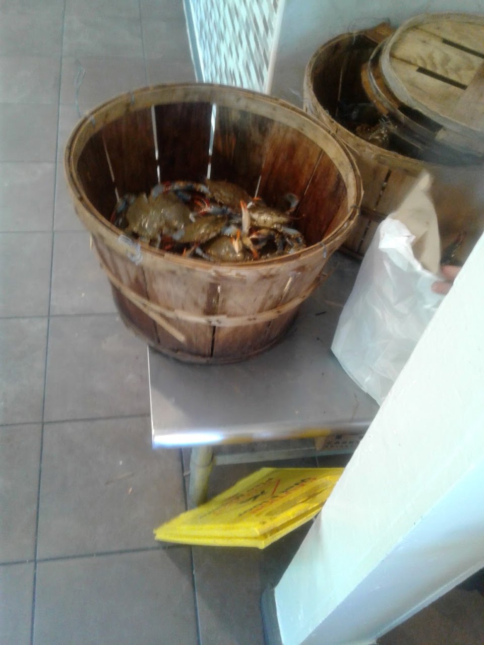 Live Crab